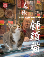 FEATURE - Hong Kong: Jeder Laden hat seine eigene Katze