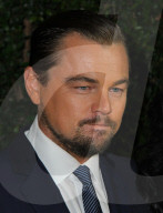 PORTRAIT - Leonardo DiCaprio 