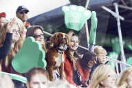 FEATURE - Ausgelassene Stimmung beim "Bark in the Park" in Sussex