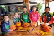 FEATURE - Halloween für Kinder und Tiere