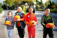 FEATURE - Halloween für Kinder und Tiere