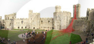 FEATURE - 'Weeping Window' Mohnblumen Installation am Caernarfon Castle