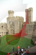FEATURE - 'Weeping Window' Mohnblumen Installation am Caernarfon Castle