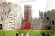 FEATURE - 'Weeping Window' Mohnblumen Installation am Caernarfon Castle