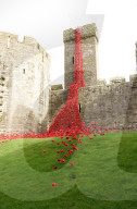 FEATURE - 'Weeping Window' Mohnblumen Installation am Caernarfon Castle