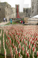 FEATURE - 'Weeping Window' Mohnblumen Installation am Caernarfon Castle