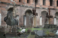 NEWS - Rom: Pferde Installation von Gustavo Aceves vor dem Kollosseum