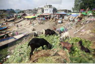 NEWS - Bangladesh: Starke Umweltverschmutzung im Buriganga River