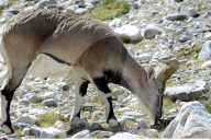 FEATURE - China: Der Mount Qomolangma an der Grenze zu Nepal