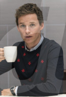 PORTRAIT - Eddie Redmayne