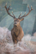 NEWS - Wintereinbruch in Grossbritannien