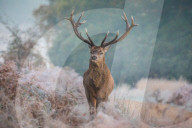 NEWS - Wintereinbruch in Grossbritannien