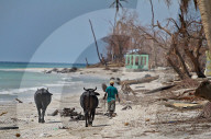 NEWS - Haiti: Schleppende Räumungsarbeiten in Port Salut