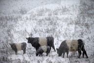 NEWS - England: Wintereinbruch in Derbyshire