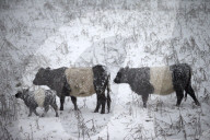 NEWS - England: Wintereinbruch in Derbyshire