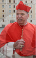 NEWS - Rom: Papst Franziskus kreierte 17 Kardinäle