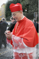 NEWS - Rom: Papst Franziskus kreierte 17 Kardinäle
