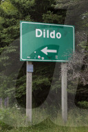 FEATURE - Dildo in Neufundland