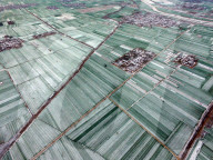 FEATURE - China: Erster Schnee in Liaocheng 