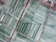 FEATURE - China: Erster Schnee in Liaocheng 