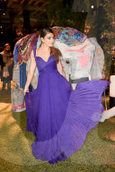 PEOPLE - Promis feiern den Animal Ball in London