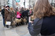 NEWS - Black Friday: Schafe shoppen in London