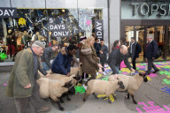NEWS - Black Friday: Schafe shoppen in London