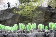 NEWS - New York: Macy's Thanksgiving Day Parade