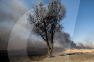 NEWS -  Irak: Brennende Ölfelder in Qayyara