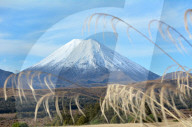 REPORTAGE - Neuseeland: Tongariro National Park