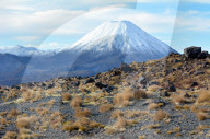 REPORTAGE - Neuseeland: Tongariro National Park