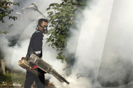 NEWS - Jakarta: Mückenspray gegen Dengue-Fieber