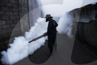 NEWS - Jakarta: MÃ¼ckenspray gegen Dengue-Fieber