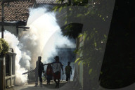 NEWS - Jakarta: Mückenspray gegen Dengue-Fieber