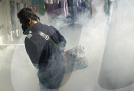 NEWS - Jakarta: Mückenspray gegen Dengue-Fieber