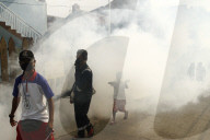 NEWS - Jakarta: Mückenspray gegen Dengue-Fieber