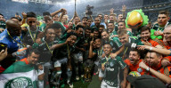 NEWS - Flugzeugabsturz in Kolumbien: Fussballfans trauern um den AF Chapecoense (Archivbilder) 