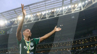 NEWS - Flugzeugabsturz in Kolumbien: Fussballfans trauern um den AF Chapecoense (Archivbilder) 