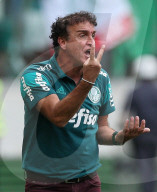 NEWS - Flugzeugabsturz in Kolumbien: Fussballfans trauern um den AF Chapecoense (Archivbilder) 