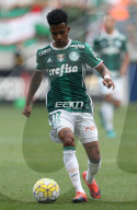 NEWS - Flugzeugabsturz in Kolumbien: Fussballfans trauern um den AF Chapecoense (Archivbilder) 