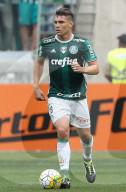 NEWS - Flugzeugabsturz in Kolumbien: Fussballfans trauern um den AF Chapecoense (Archivbilder) 