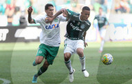 NEWS - Flugzeugabsturz in Kolumbien: Fussballfans trauern um den AF Chapecoense (Archivbilder) 