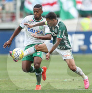 NEWS - Flugzeugabsturz in Kolumbien: Fussballfans trauern um den AF Chapecoense (Archivbilder) 