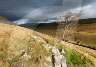 FEATURE - Kalender 2017: Landschaften in Yorkshire Dales