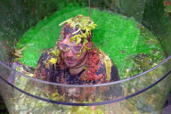 PEOPLE - Viele bunte Bilder aus dem Dschungelcamp in Australien