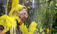 PEOPLE - Viele bunte Bilder aus dem Dschungelcamp in Australien