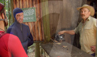 PEOPLE - Viele bunte Bilder aus dem Dschungelcamp in Australien