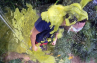 PEOPLE - Viele bunte Bilder aus dem Dschungelcamp in Australien