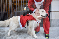 FEATURE - London: Chläuse am Santa in the City Lauf