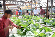 PEOPLE - Prinz Harry besucht das 'Joshua House Children's Centre' in Georgetown